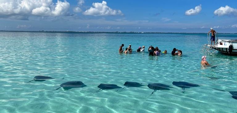 Stingray City in the Cayman Islands